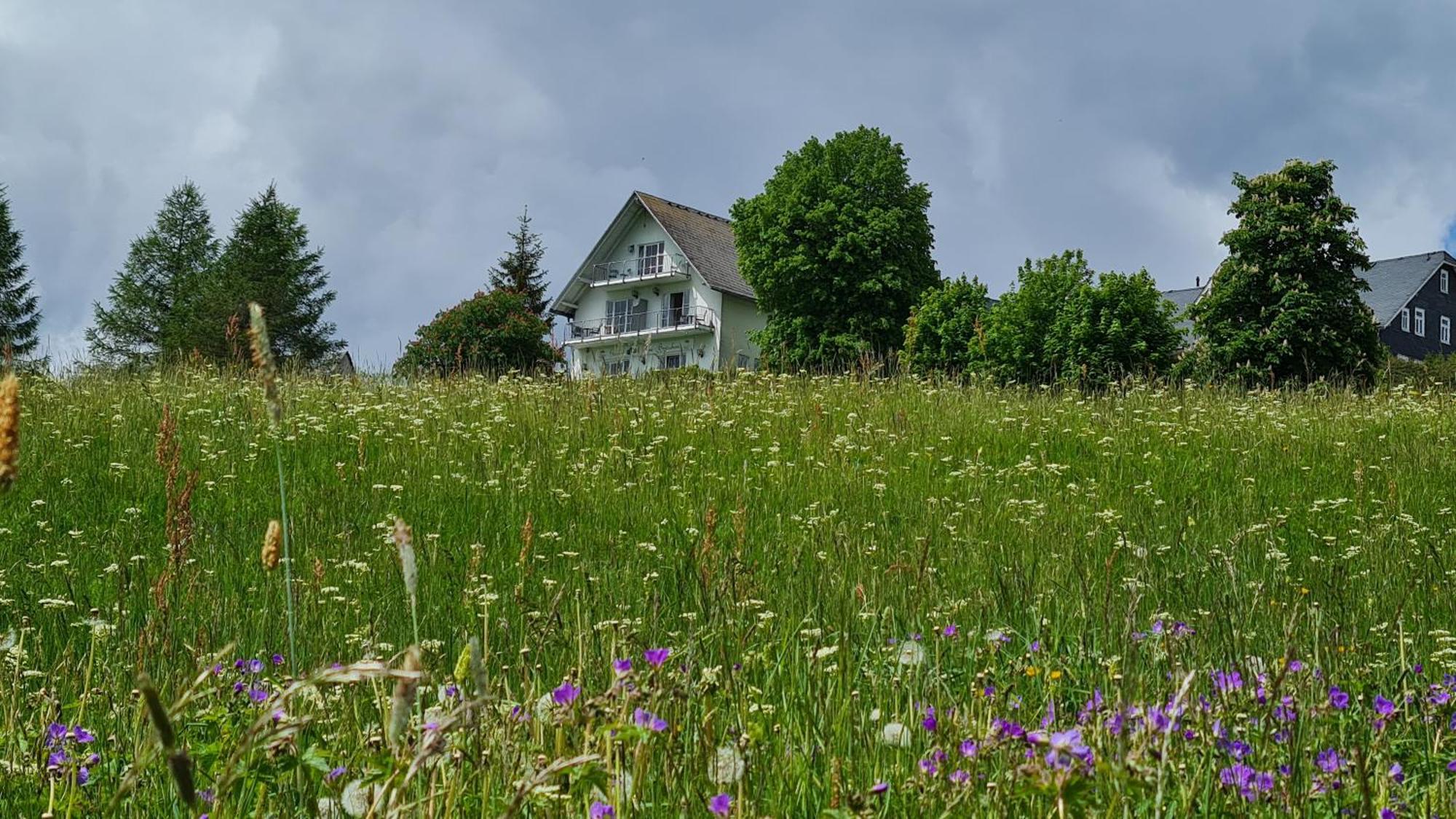 Pension Breitenborn Masserberg Exterior foto